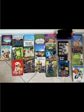 Tween fictional book lot